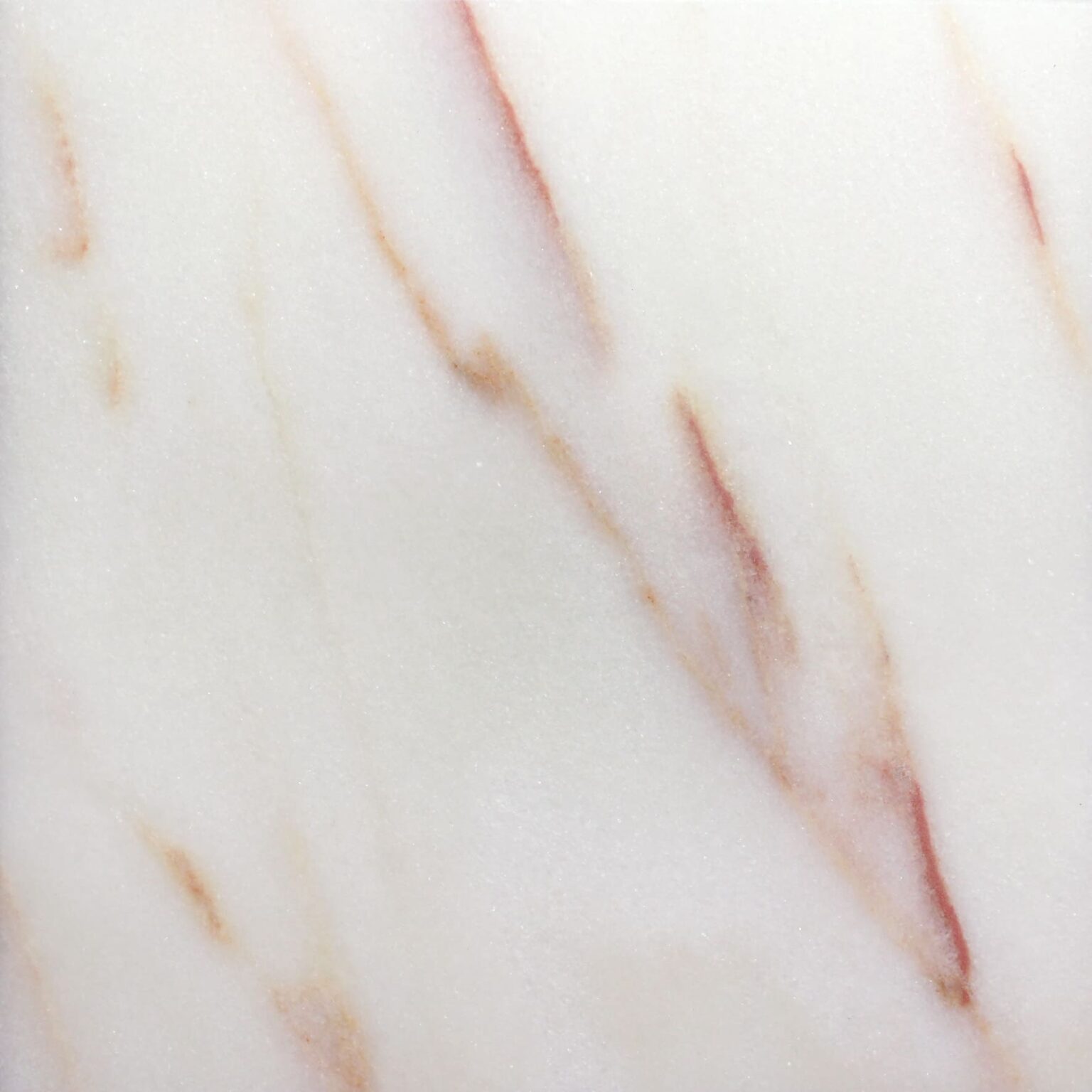 Rosa Aurora Polished