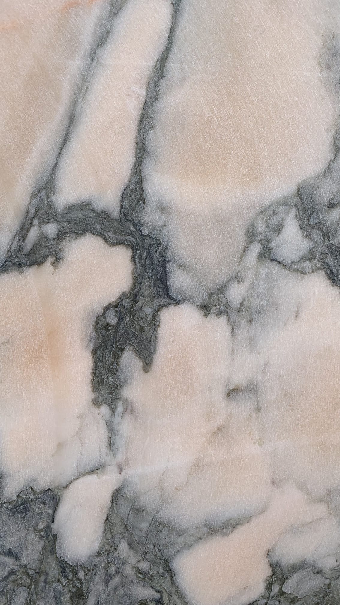 CALACATTA PINK 